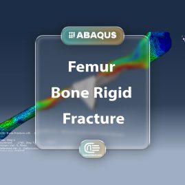 Workshop: Simulation Femur Bone Fracture Under Rigid Impact In Abaqus