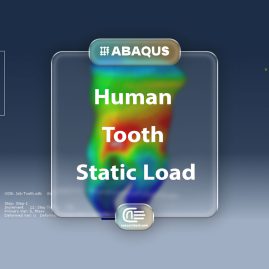 Workshop: Finite Element Simulation Of Human Tooth Under Static Load In Abaqus